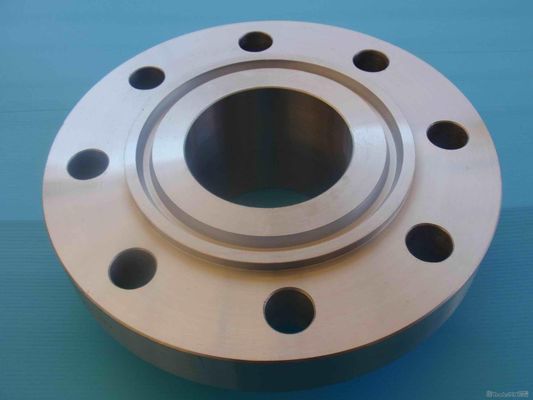 高精度 CNC 加工漏れ防止 ANSI B16.5 リング タイプ ジョイント フランジ